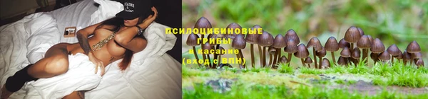 метадон Карпинск
