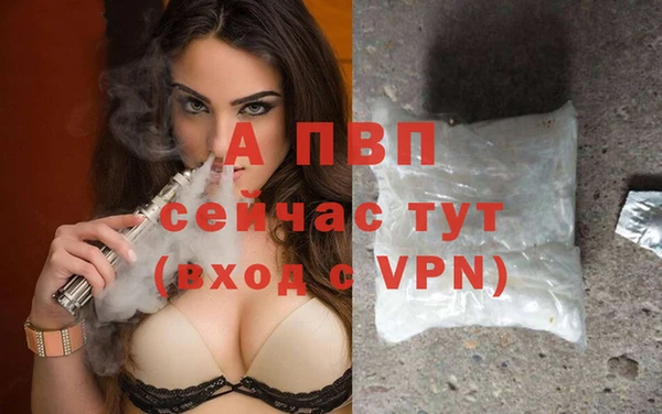 амф Кодинск