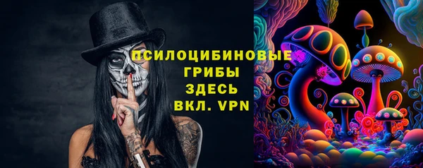 таблы Козельск